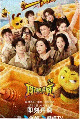 深夜小众综艺